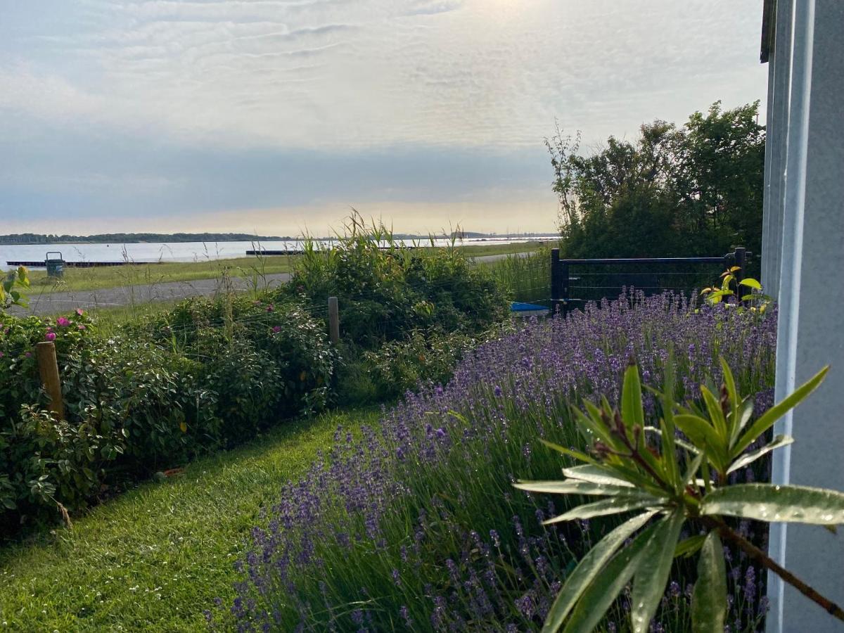 Villa Veerse Meer Kamperland Eksteriør bilde